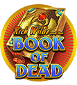 Book of Dead Spiel